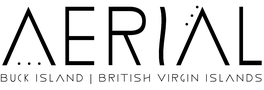 AERIAL-ISLAND-LOGO-BLACK (3) CBS News Logo